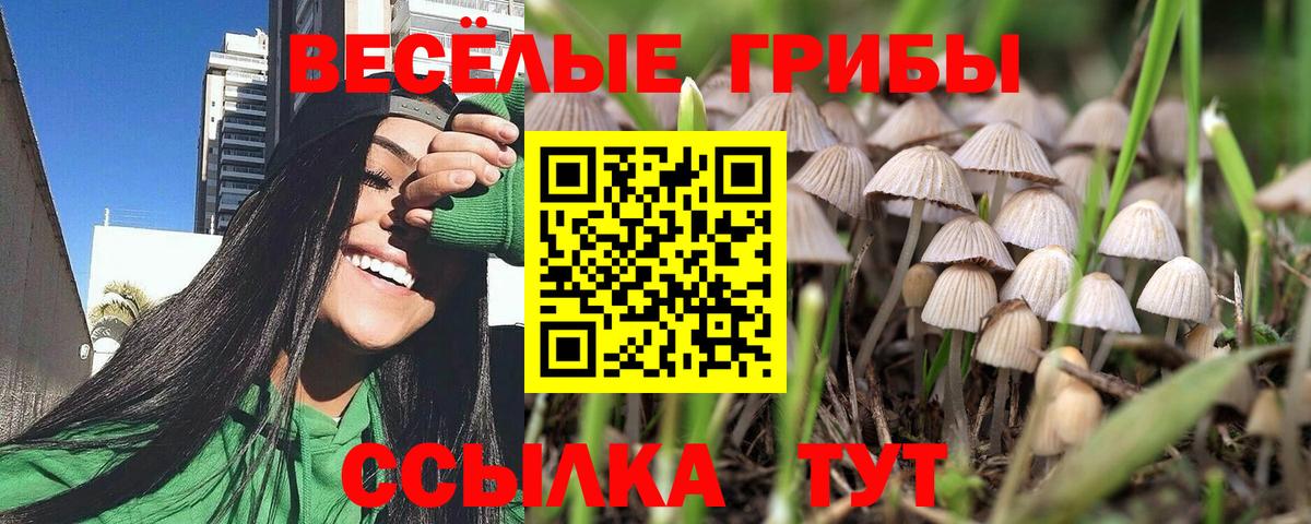 Галлюциногенные грибы GOLDEN TEACHER  Вход с VPN  Лангепас 